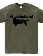 Dachshund 01