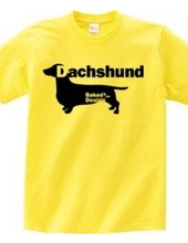 Dachshund 01