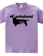 Dachshund 01