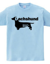 Dachshund 01