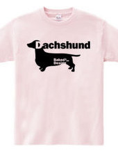 Dachshund 01