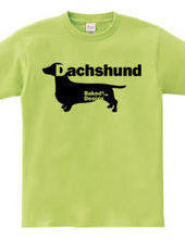 Dachshund 01