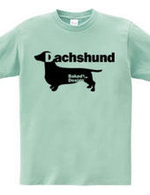 Dachshund 01