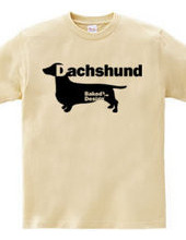 Dachshund 01