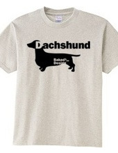 Dachshund 01