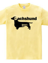 Dachshund 01