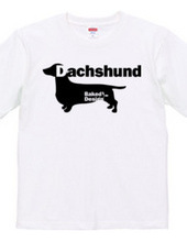 Dachshund 01