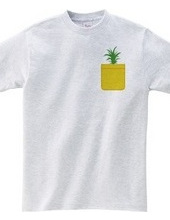 Pineapple Pocket