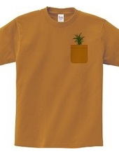 Pineapple Pocket