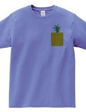 Pineapple Pocket