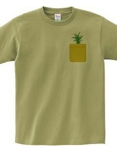 Pineapple Pocket