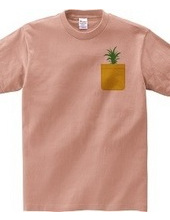 Pineapple Pocket