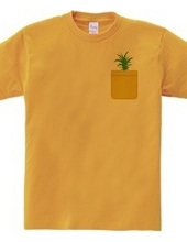 Pineapple Pocket