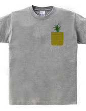 Pineapple Pocket