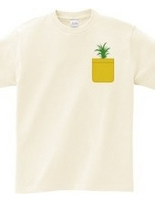 Pineapple Pocket