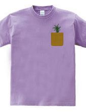 Pineapple Pocket