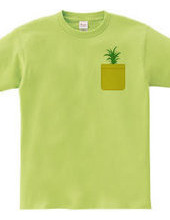 Pineapple Pocket