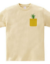 Pineapple Pocket