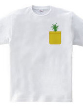 Pineapple Pocket