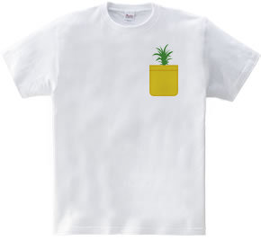 Pineapple Pocket