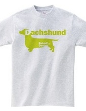 Dachshund 02