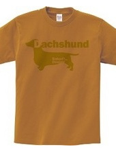 Dachshund 02