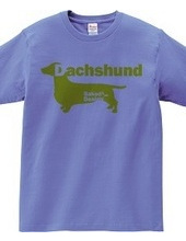 Dachshund 02