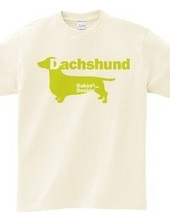 Dachshund 02