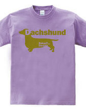 Dachshund 02