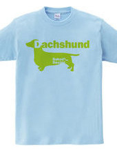 Dachshund 02