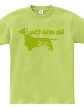 Dachshund 02