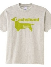 Dachshund 02