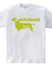 Dachshund 02