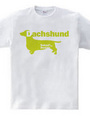 Dachshund 02