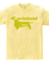 Dachshund 02