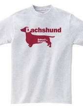 Dachshund 03