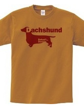 Dachshund 03