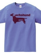 Dachshund 03