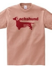 Dachshund 03