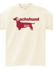 Dachshund 03