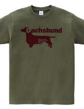 Dachshund 03