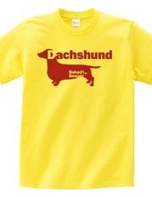 Dachshund 03