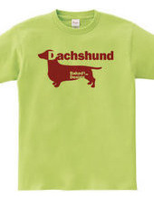 Dachshund 03