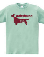 Dachshund 03