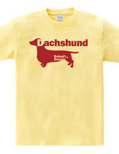 Dachshund 03