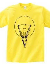 IBEX LIGHT