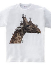 Giraffe and small animals