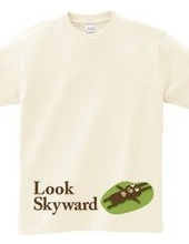 Look Skyward