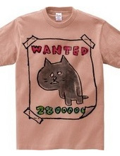 CAT -Wanted-