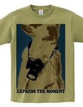 express the moment